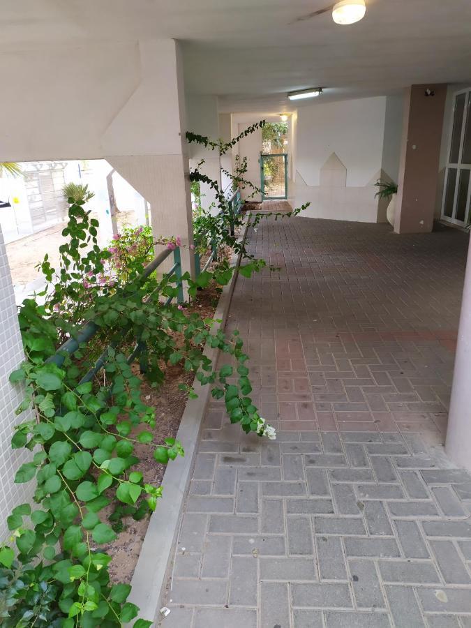 Nelly'S Housing Unit Lägenhet Eilat Exteriör bild